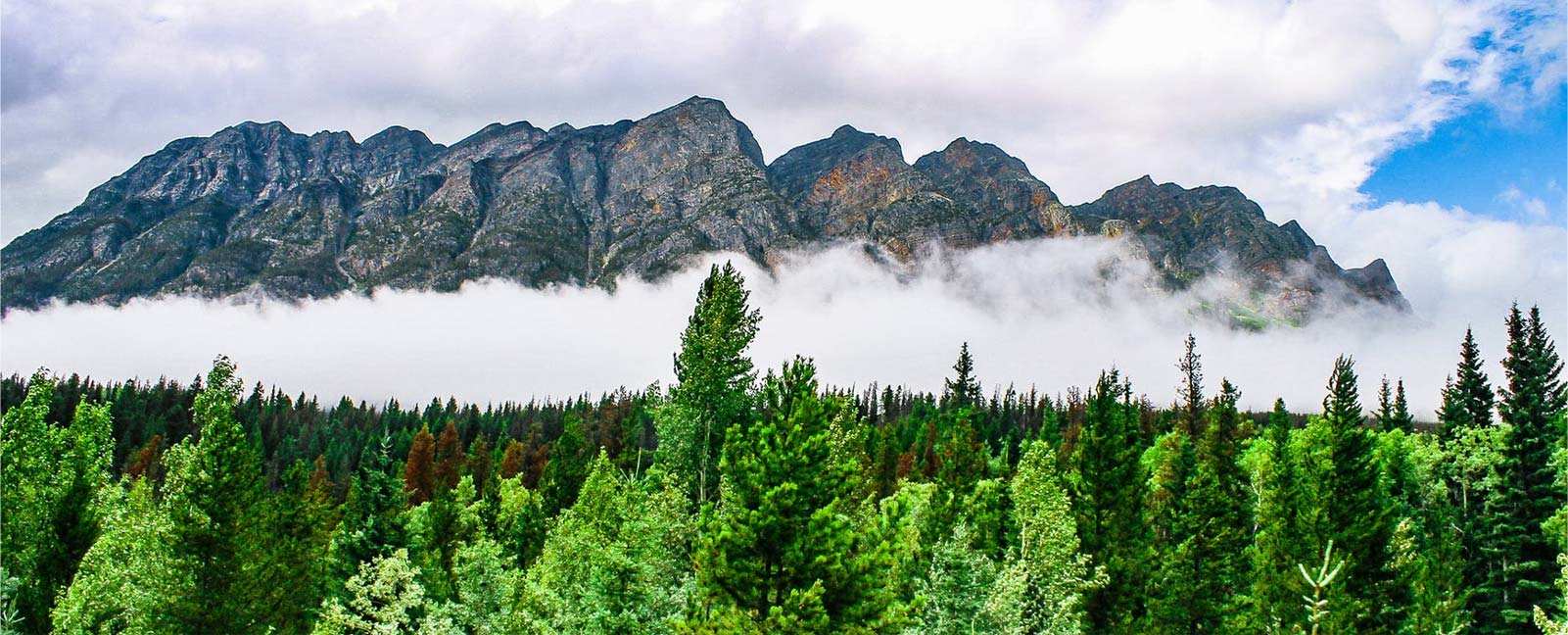 Zhejiang Zhongli Synthetica Materia Technologia Co., Ltd.